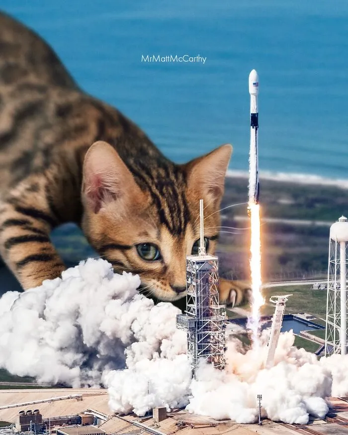 This Artist Continues His Giant-Cat Takeover With 30 New Surreal Digital Collages