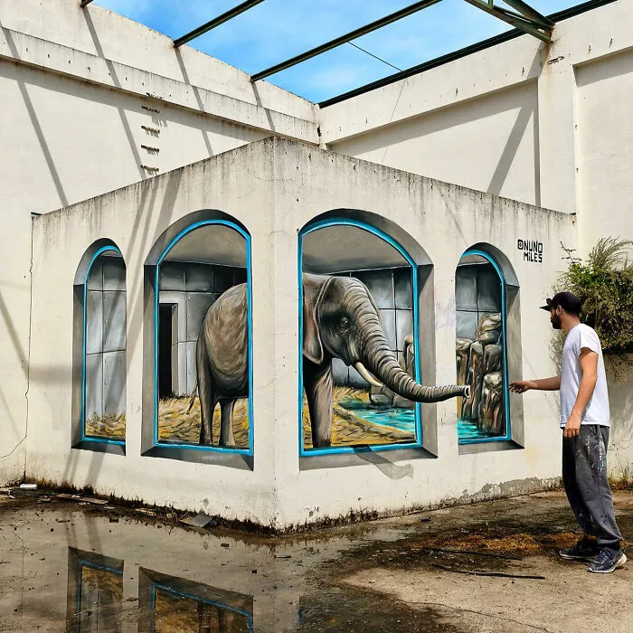29 Amazing Wall Transformations By Nuno Miles That Turn Urban Spaces Into Hyperrealistic Art