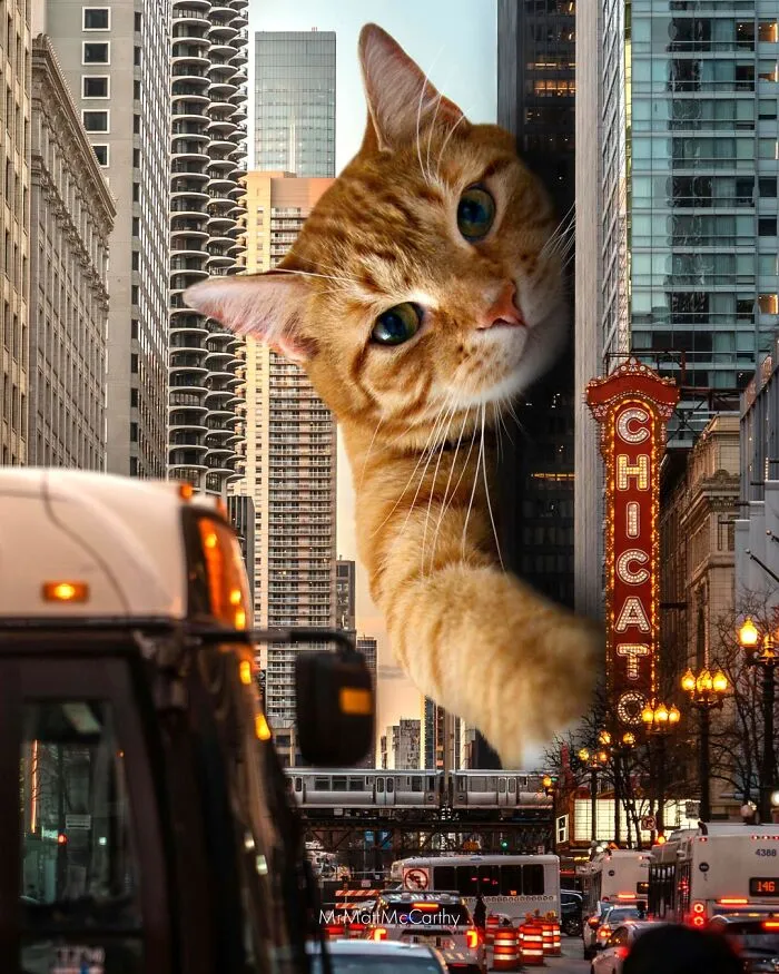 This Artist Continues His Giant-Cat Takeover With 30 New Surreal Digital Collages