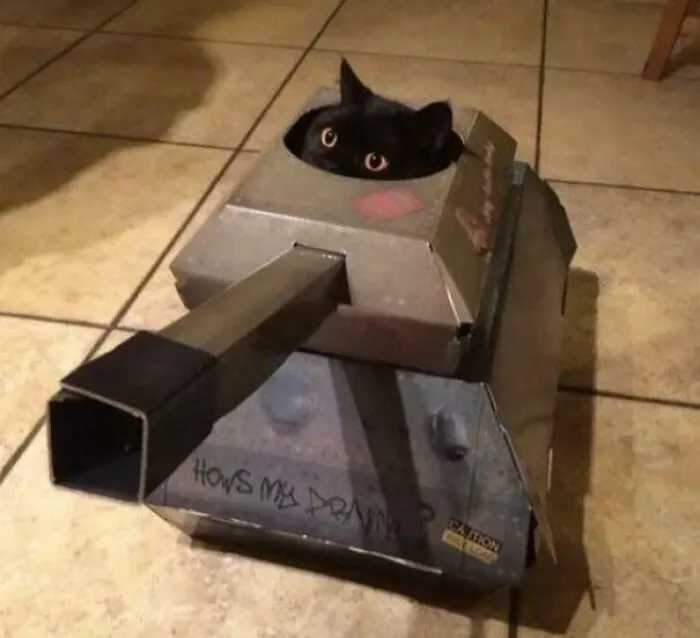 Tankitty, The Defender Of Catkind