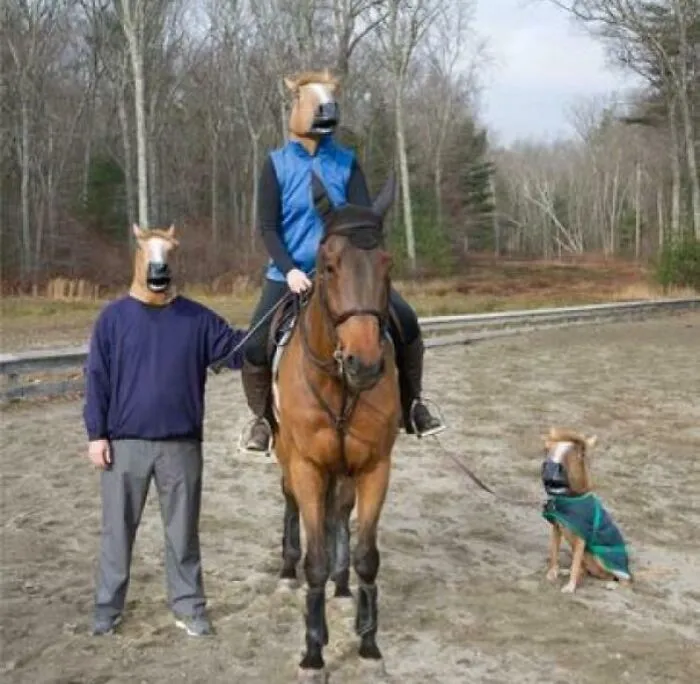 Three people wearing horse masks with one riding a horse and dog also in horse mask