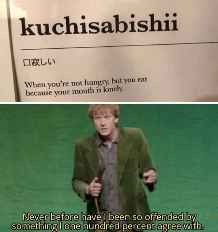 83 Funny, Random, and Hilarious Pics for Every Mood