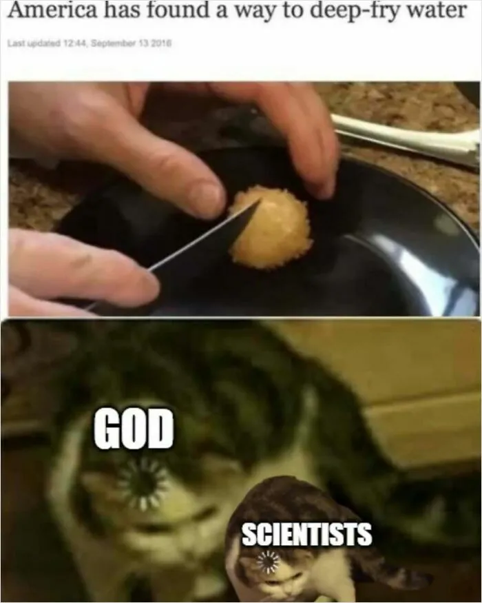 Meme about America deep-frying water showing fried ball and focused cats labeled God and scientists