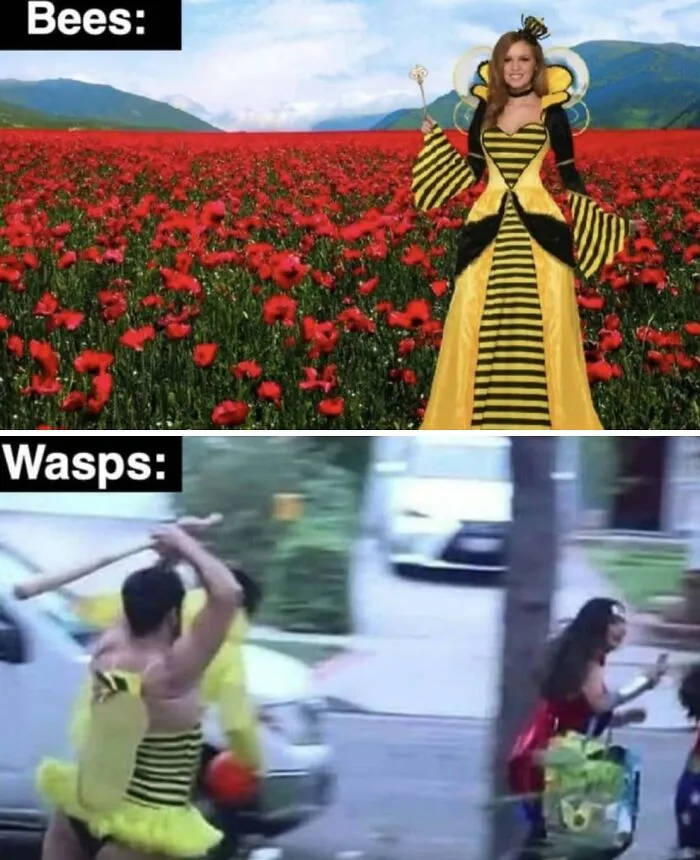 83 Funny, Random, and Hilarious Pics for Every Mood