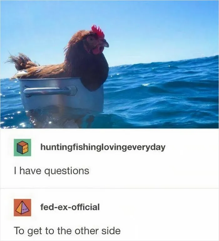 77 Pure And Funny Animal Memes To Calm Your Brain (New Pics)
