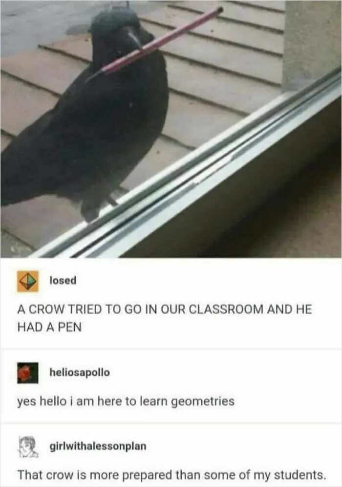 77 Pure And Funny Animal Memes To Calm Your Brain (New Pics)