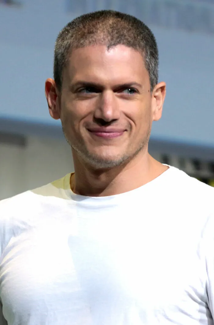 American Actor and Screenwriter Wentworth Miller, 54