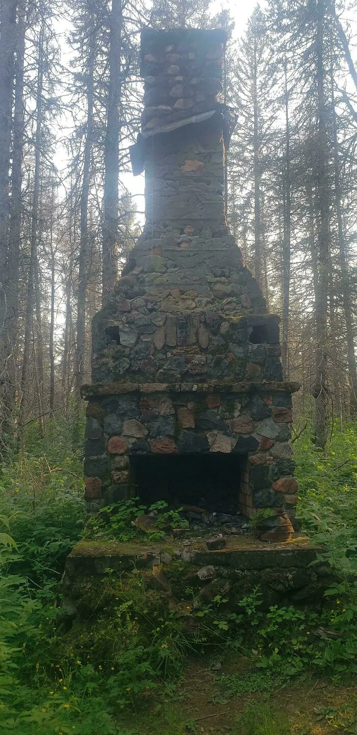 What's With All These Chimneys In The Woods?