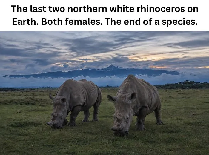 These 50 Photos May Seem Confusing At First, But The Explanation Makes Them Even Better