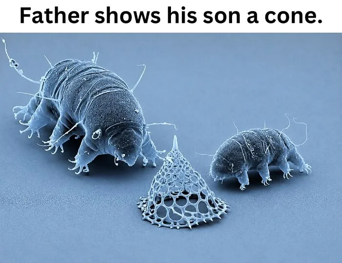 These 50 Photos May Seem Confusing At First, But The Explanation Makes Them Even Better