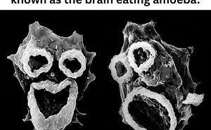 These 50 Photos May Seem Confusing At First, But The Explanation Makes Them Even Better