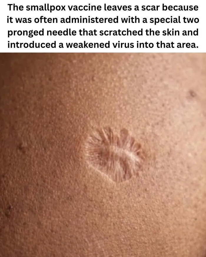 These 50 Photos May Seem Confusing At First, But The Explanation Makes Them Even Better
