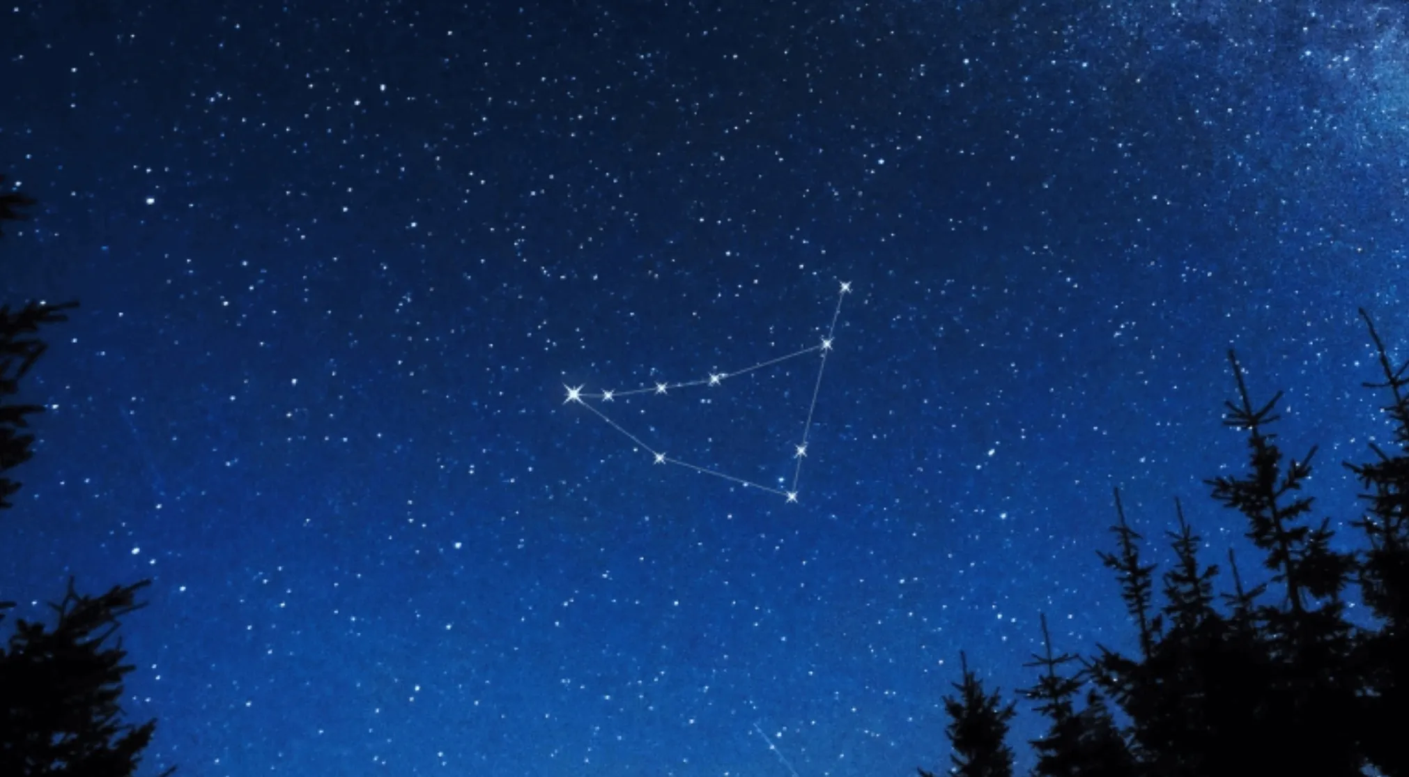 Dark blue night sky with countless stars. The constellation Capricornus, the Sea Goat, is outlined by bright stars. Pine trees silhouette in the foreground.