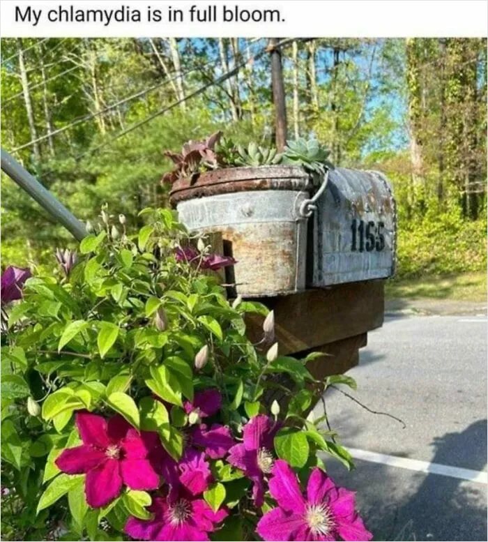 Might Need Some Good Antibiotics For That