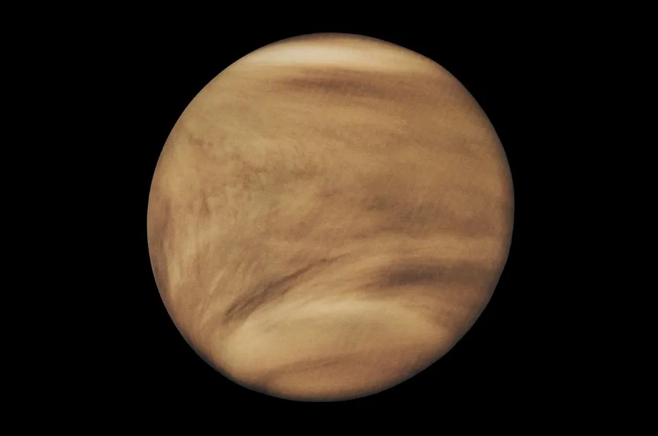 A full image of the planet Venus against a black background. Venus is closest to the Sun.