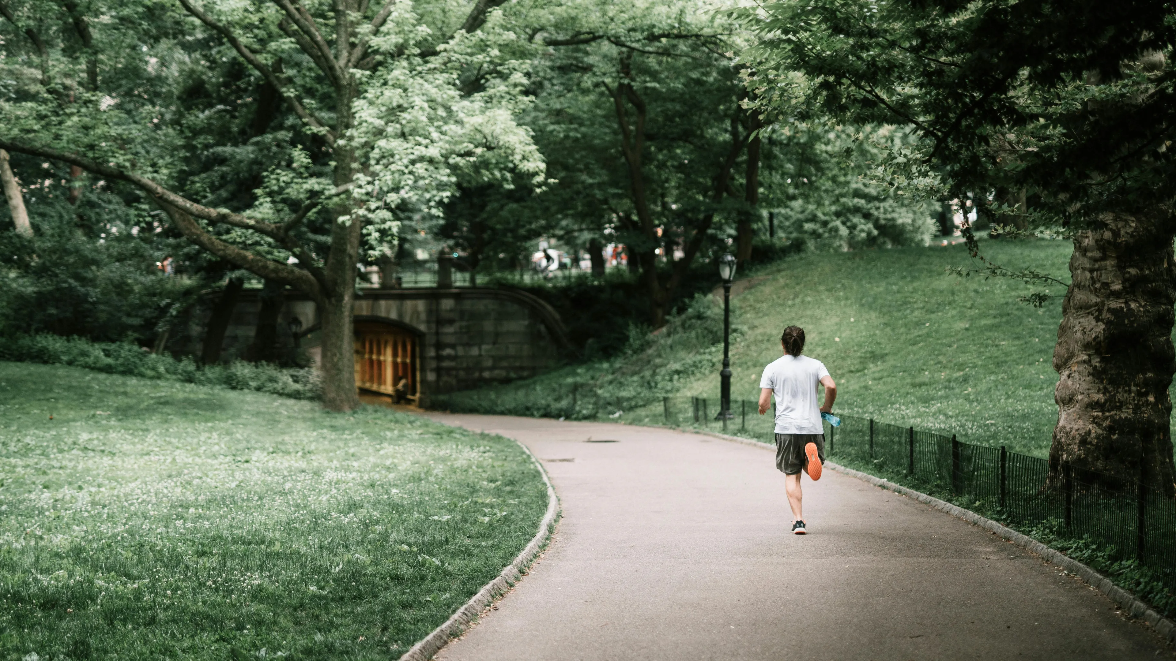 A man runs on a winding path through a lush green park, enjoying a run in the park on a Sunday morning.