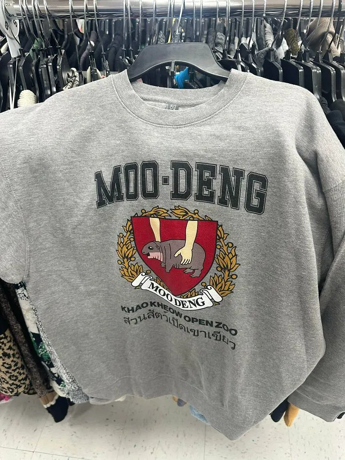 This Sweatshirt I Found. I Absolutely Bought It
