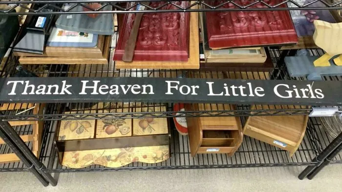 Funny Goodwill sign saying Thank Heaven For Little Girls on a shelf