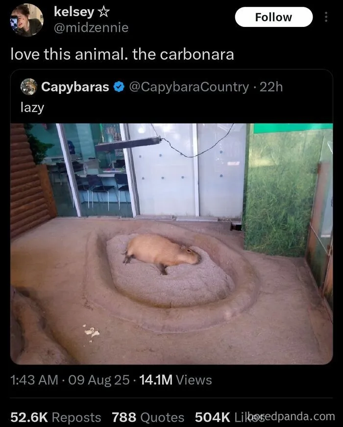 Love Me Some Pasta Carbonara  