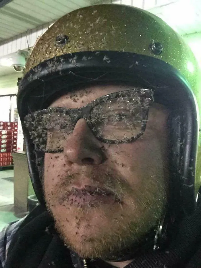 Person wearing helmet and glasses covered in small insects hilarious cursed photo