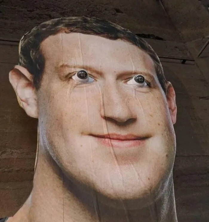 Weird distorted face cutout with googly eyes in hilarious cursed image