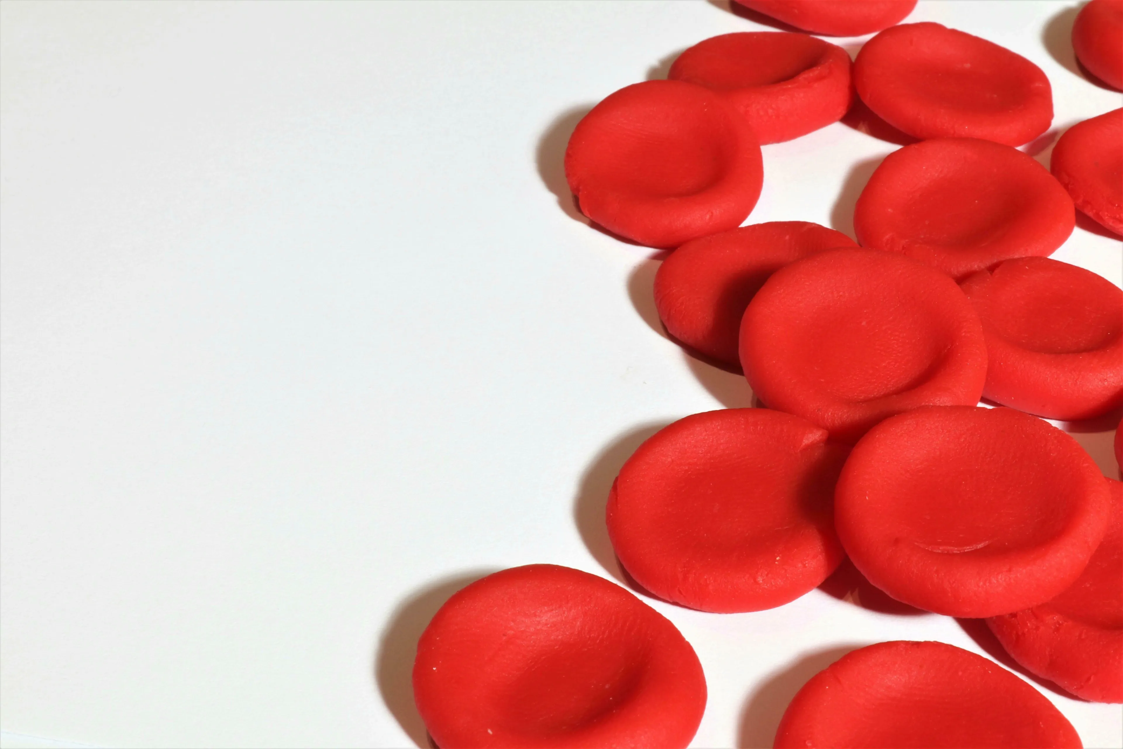 Red blood cells against a white background. Visualizing **blood cells** production in the body.