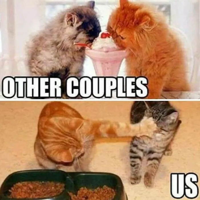 “Happy Wife, Happy Life”: 44 Memes About Marriage That You Might Want To Send To Your Spouse