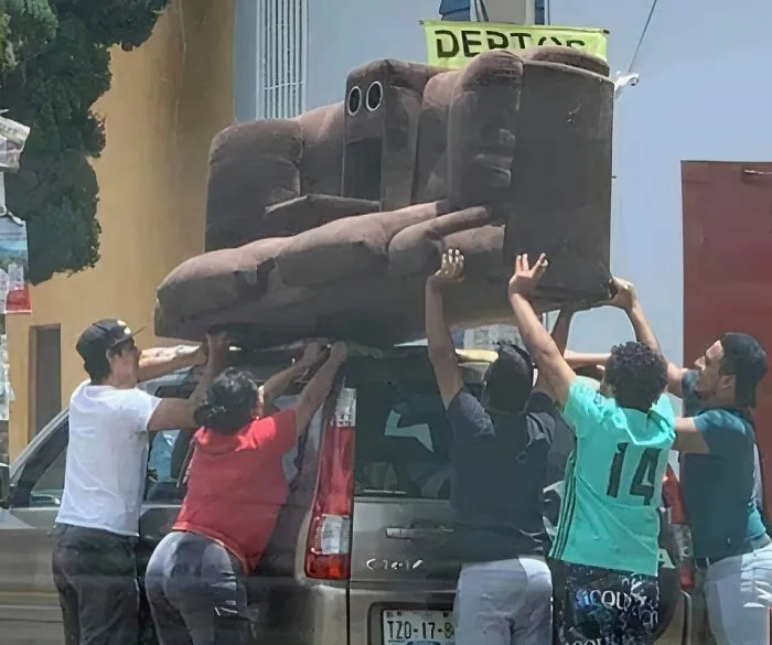 The Couch Is Not Excited By This Idea