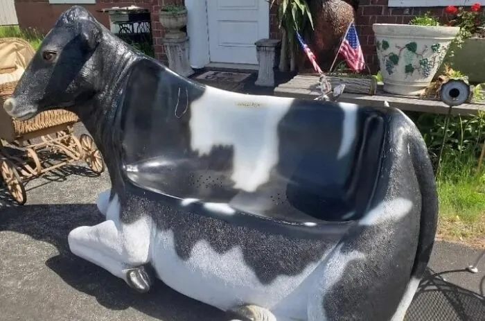 Cowch