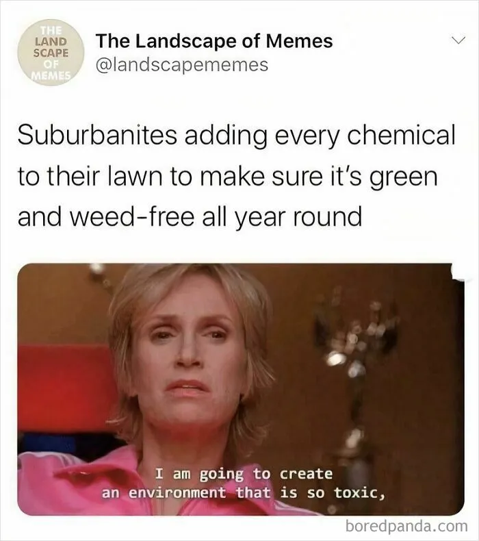 We Could Have Healthy, Sustainable Cities, But Instead We Choose To Have This