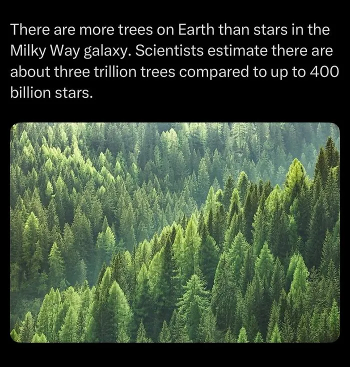“Here To Explain Everything”: 92 Facts And Stories You Might Not Have Heard Of Before