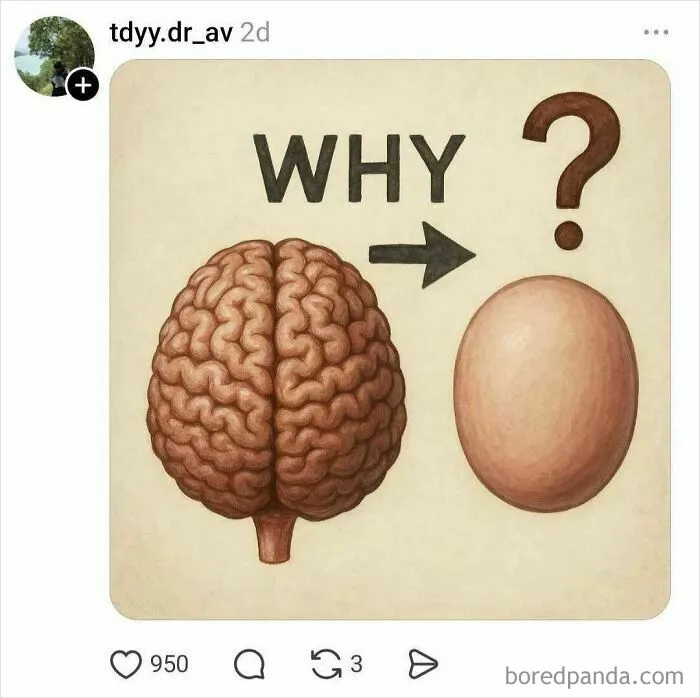 This “Why Can’t We Have One Big Hole?” Thread Might Be The Funniest Thing You Read All Day (26 Answers)
