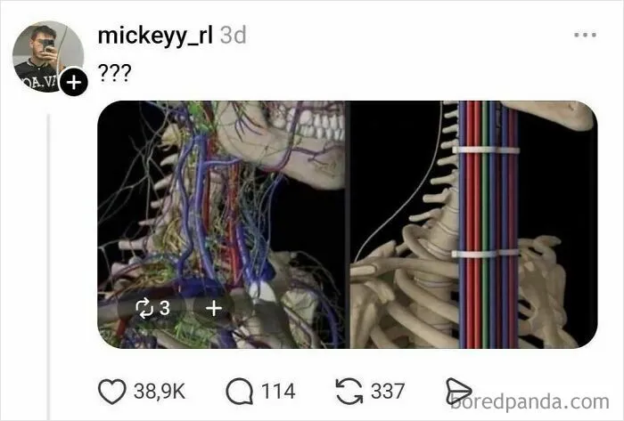 This “Why Can’t We Have One Big Hole?” Thread Might Be The Funniest Thing You Read All Day (26 Answers)