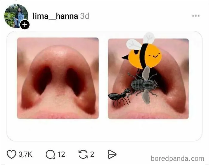 Close-up of nostrils with cartoon insects inside one nostril representing nostril discussion