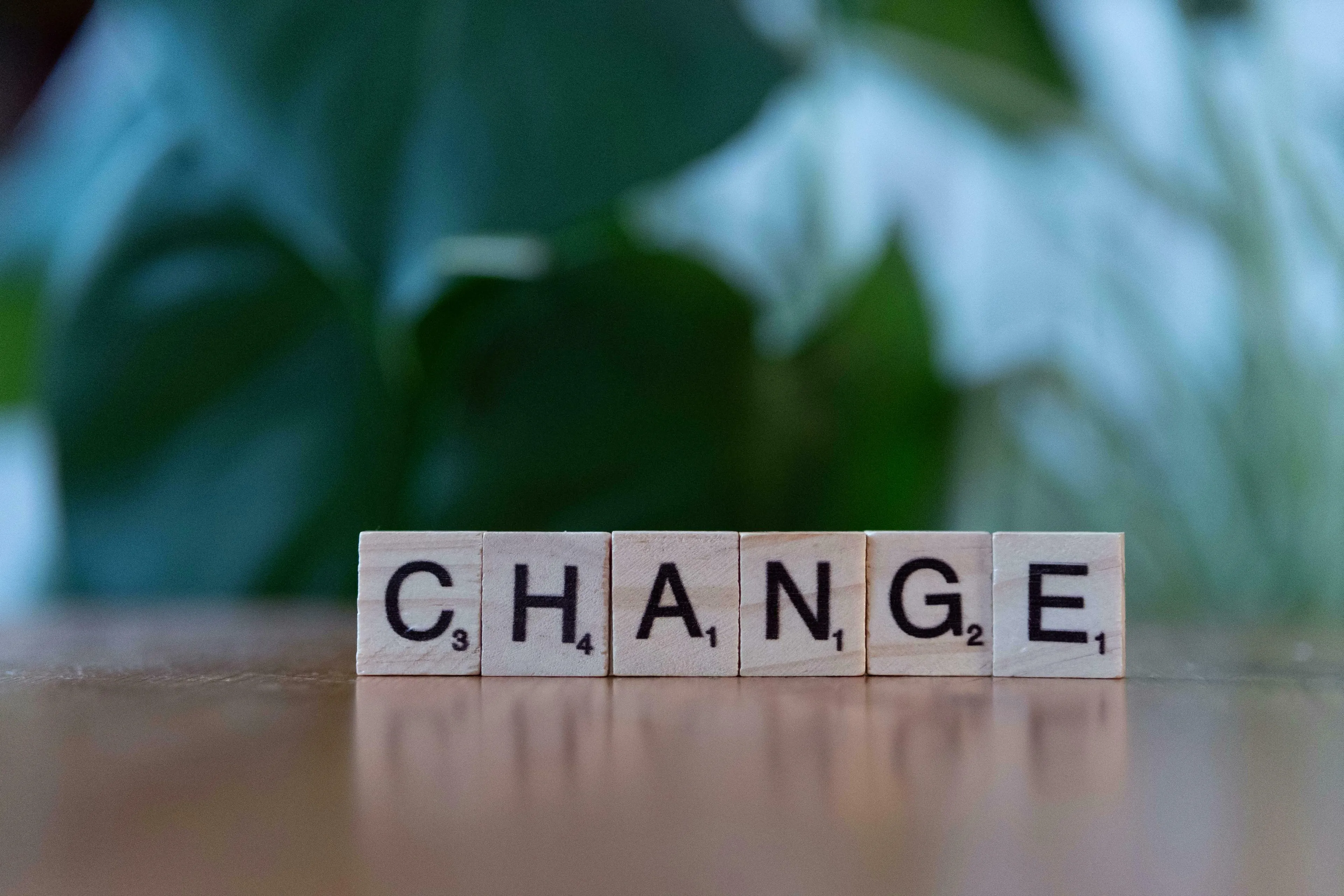 Wooden letter tiles spelling CHANGE, reflecting on true nature and feelings about change, with a blurred green plant background.