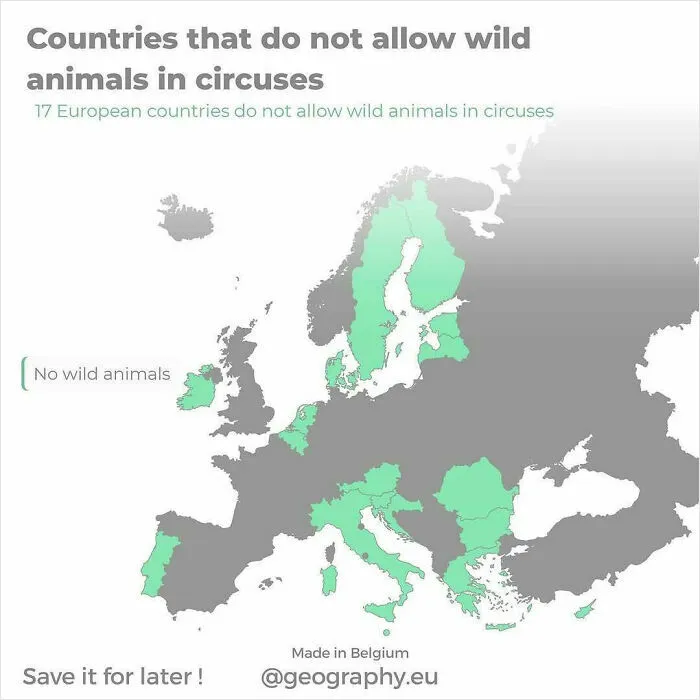 Countries That Do Not Allow Wild Animals In Circuses