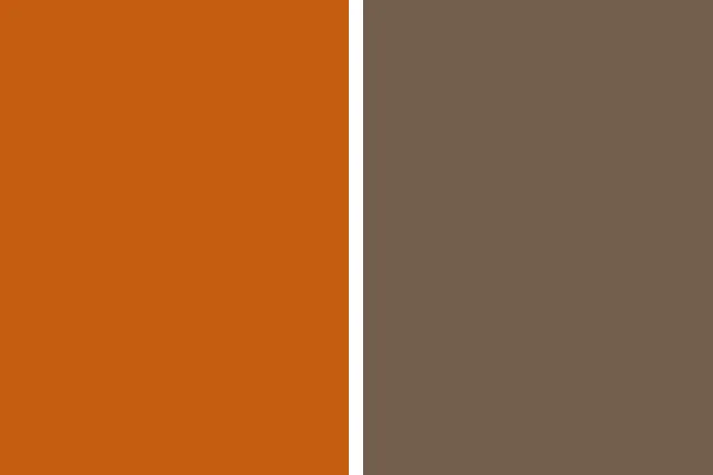 A color palette split, showing a warm orange on the left and a cool brown on the right. Perfect for living room inspiration.