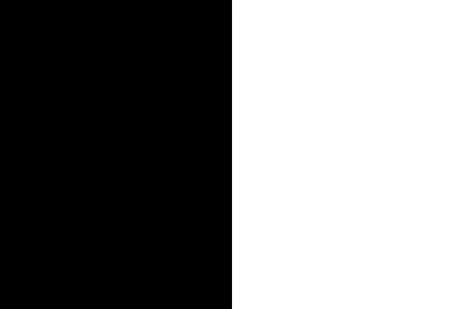 A simple split of black on the left and white on the right. A classic color palette for any living room.
