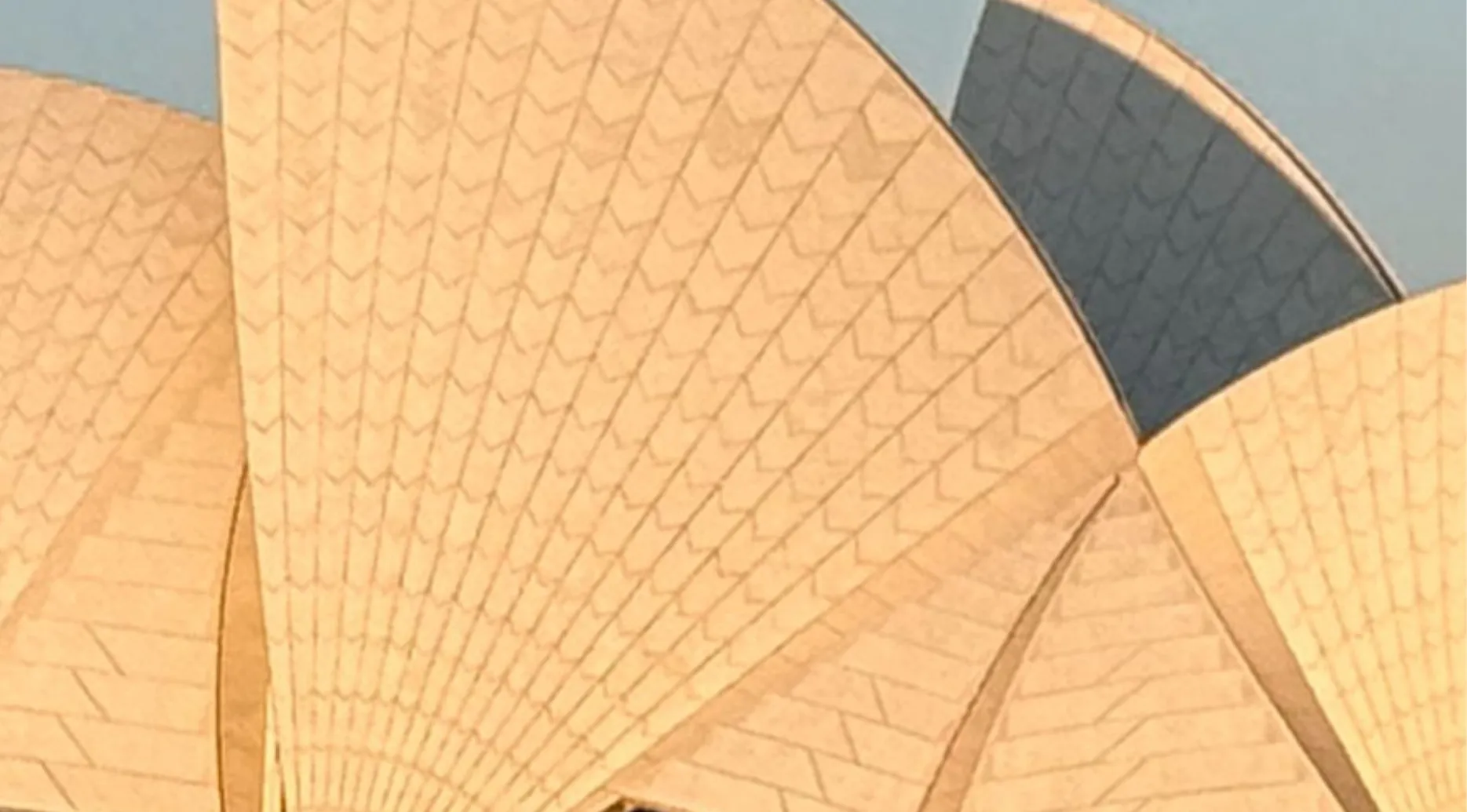 Zoomed-in photo of the Sydney Opera House's distinct shell roof, challenging viewers to identify the landmark.