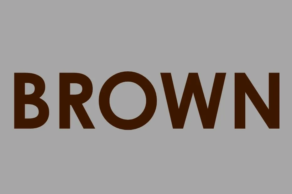 The word BROWN displayed in dark brown letters against a gray background. This image does not show the word orange.