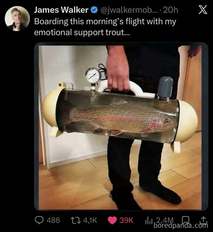 Boarding This Morning’s Flight With My Emotional Support Trout