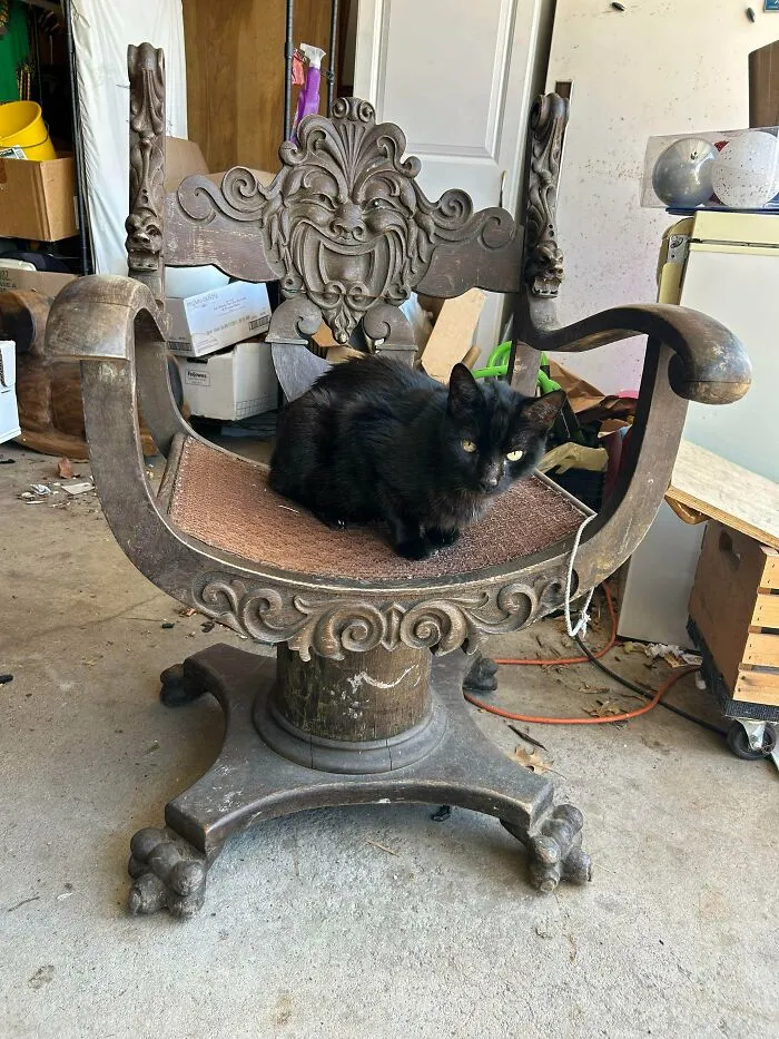 Stomps-Burkhardt North Wind Face Chair Found In Ohio United States Hoarder House Made Sometime Before 1929