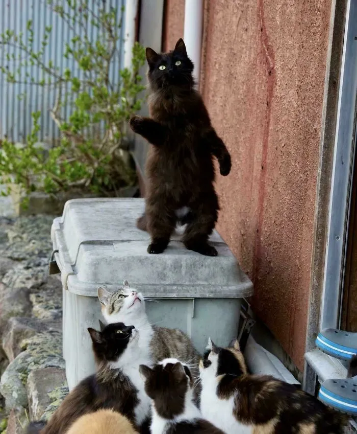 Shh… The Leader Is Talking