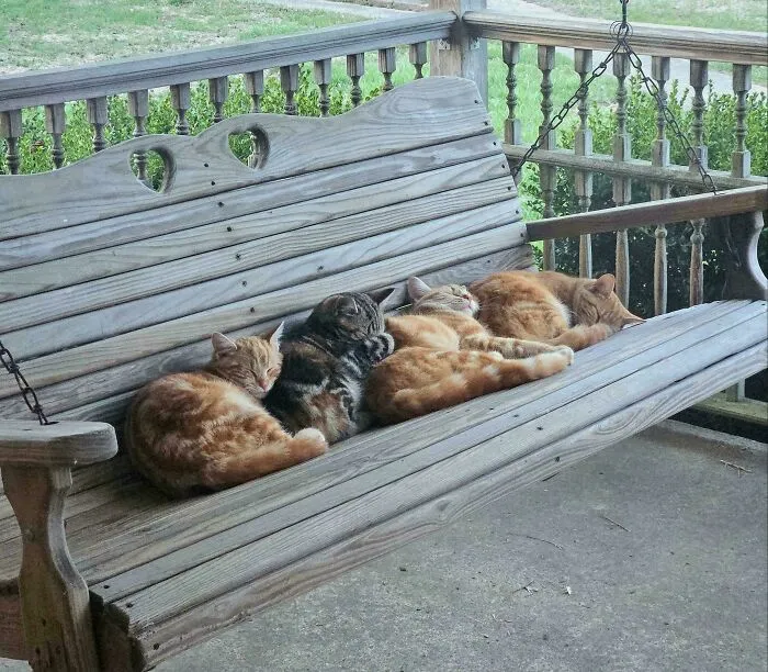 Meeting Ran Late, No One Could Stay Awake Through It