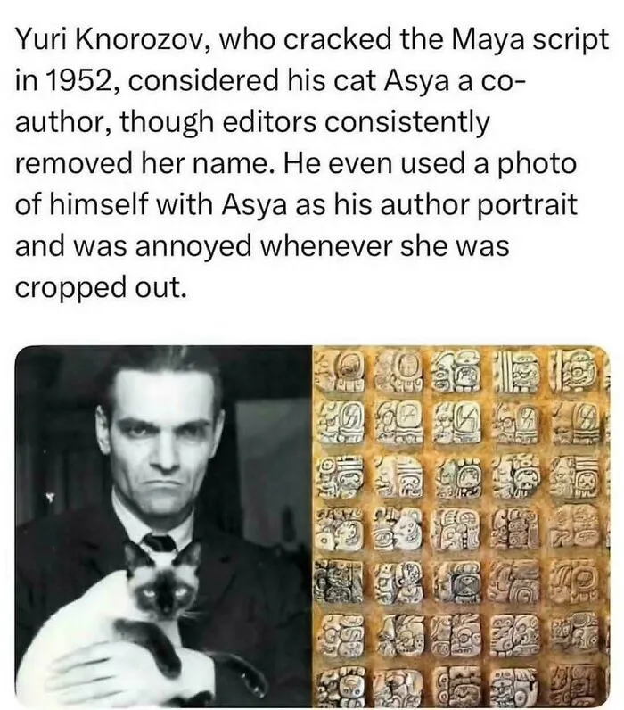 Nobody Gets You Better Than Memes Posted By Random People On The Internet So Here Are 44 Hilarious Ones (New Pics)