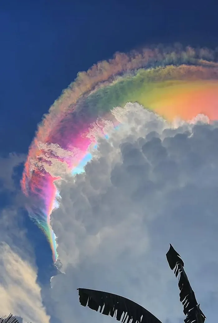 Cumulonimbus Incus (Anvil Cloud) Captured In Venezuela Looks So Dramatic That It Looks Fake