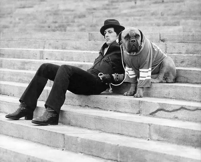 Al principio de su carrera, Sylvester Stallone andaba tan mal de dinero que se vio obligado a vender a su perro, Butkus, por 40 dólares. Cuando consiguió el papel en Rocky, lo recuperó por 15.000 dólares y le dio un papel en la película. (Década de 1970)