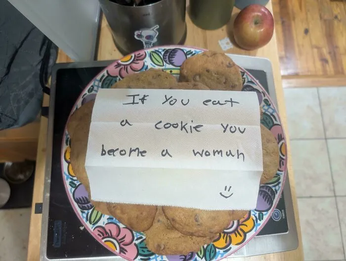 My Daughter Made Cookies