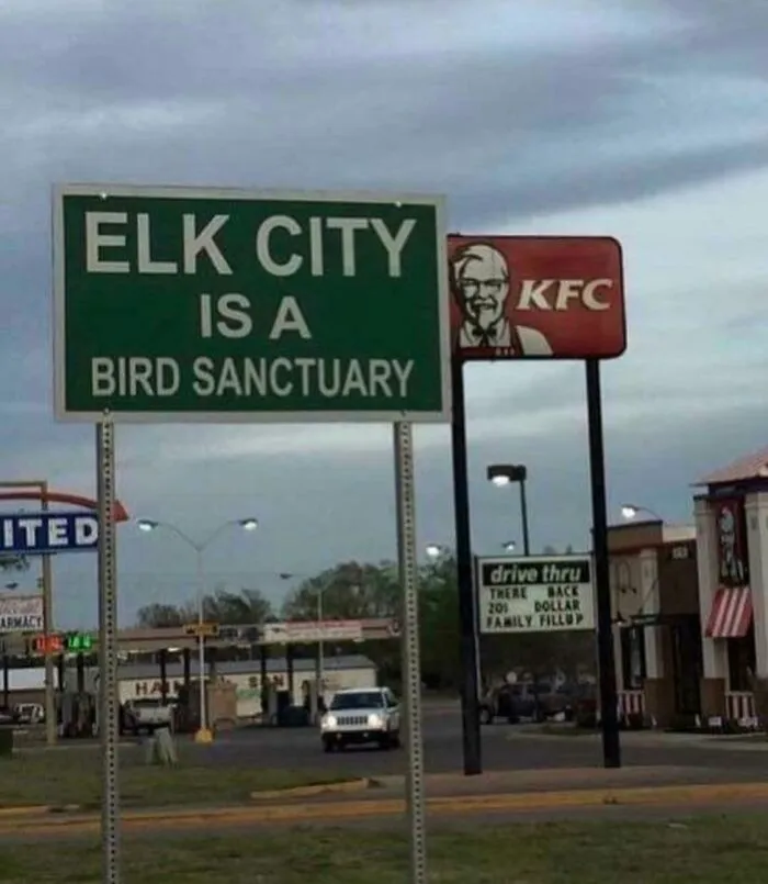 75 Ironic Posts That Might Make You Chuckle