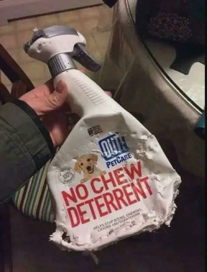 75 Ironic Posts That Might Make You Chuckle
